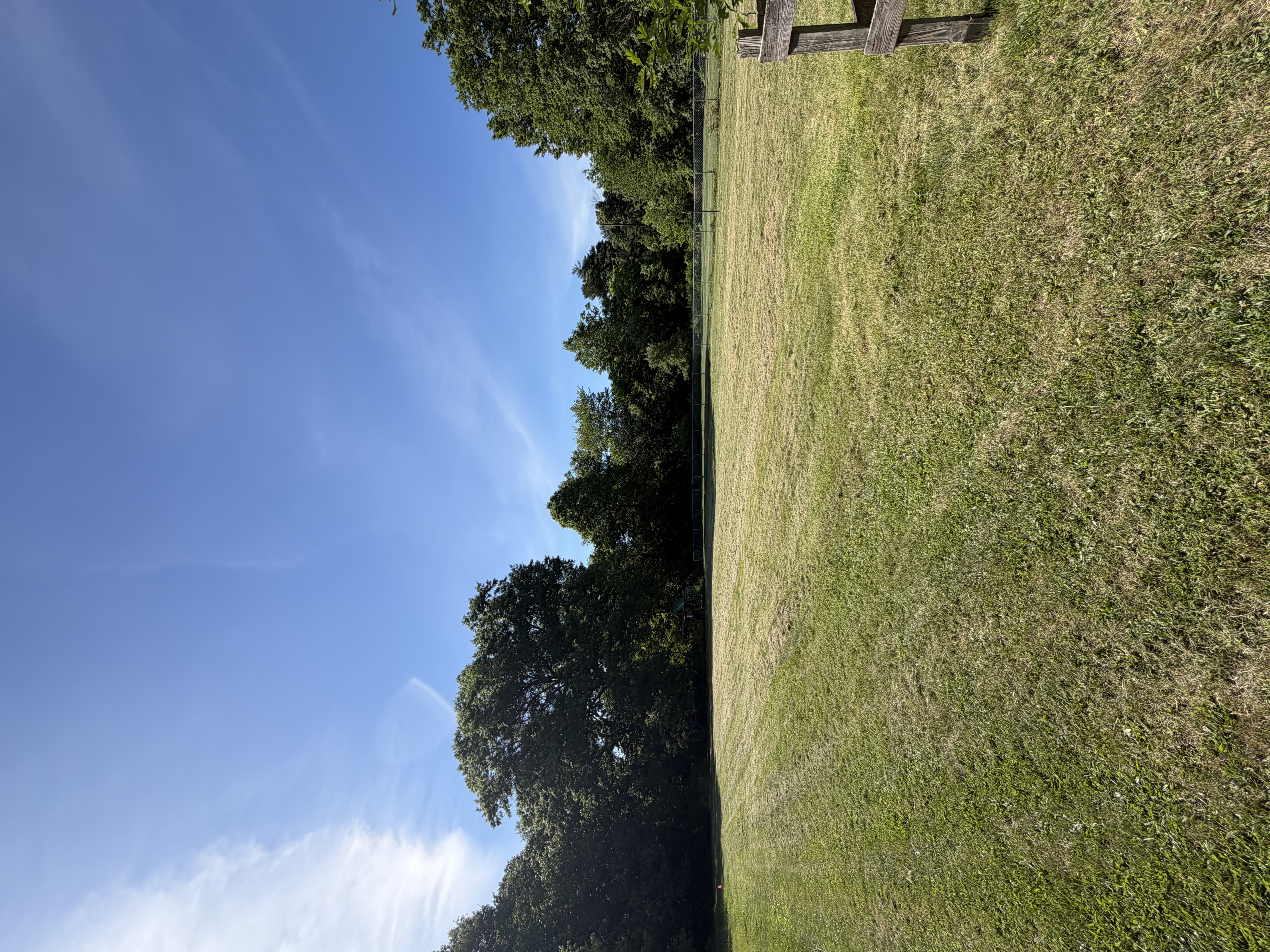 Freshly mowed lawn maintained by TR Terrain Works LLC
